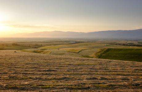 土壤水分速測儀提升田間灌溉質量